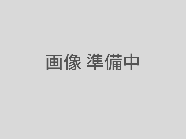 土地付き 中古 太陽光発電所
